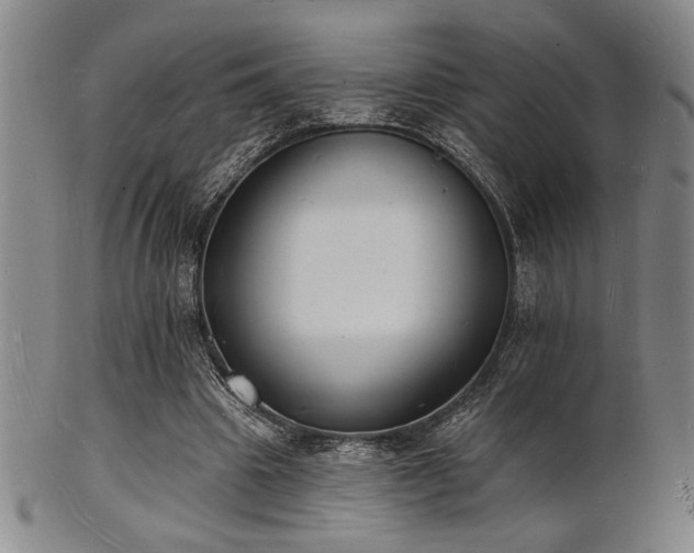 X0000101690441200807101517