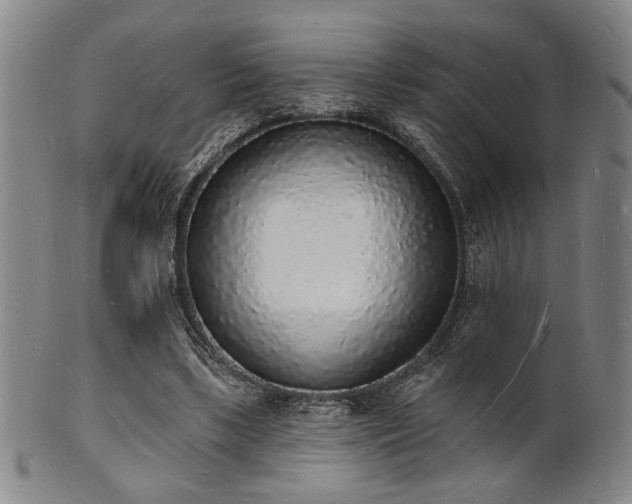 X0000101690443200807101517