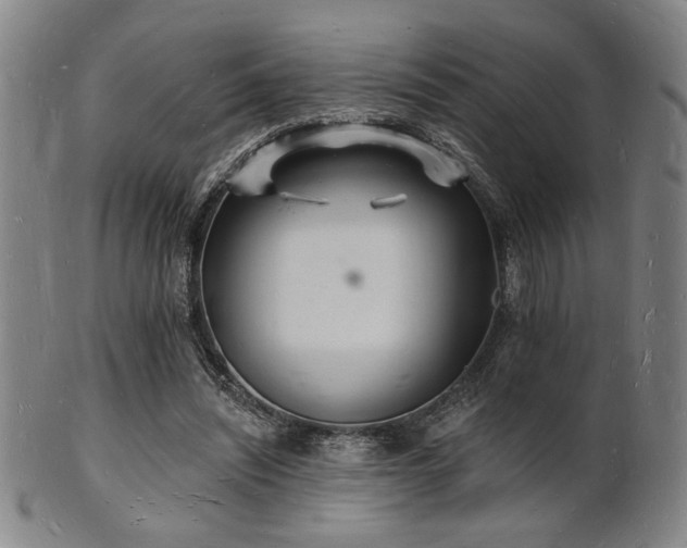 X0000101690444200807101517