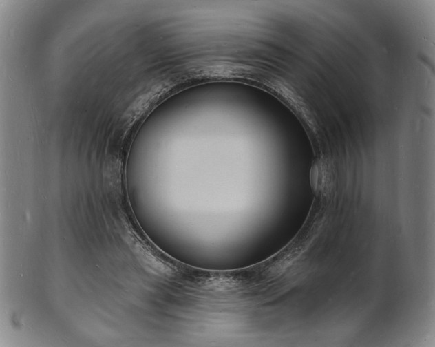 X0000101690445200807101517