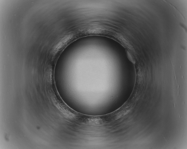 X0000101690446200807101517