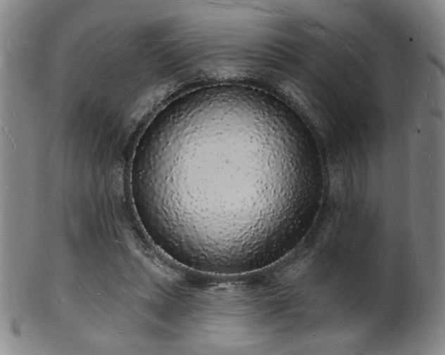 X0000101690447200807101517