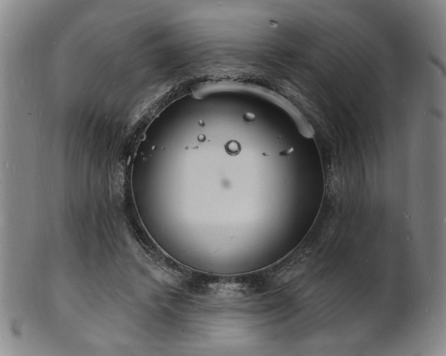 X0000101690448200807101517