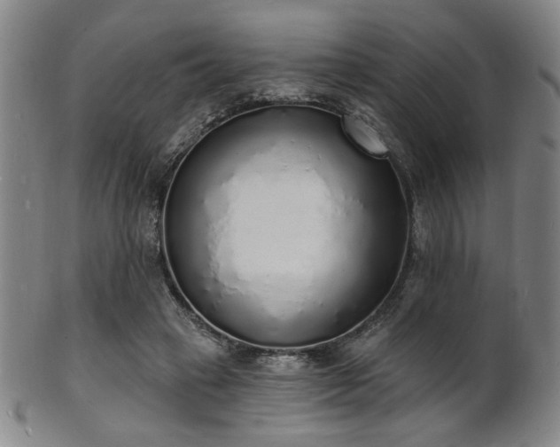 X0000101690449200807101517