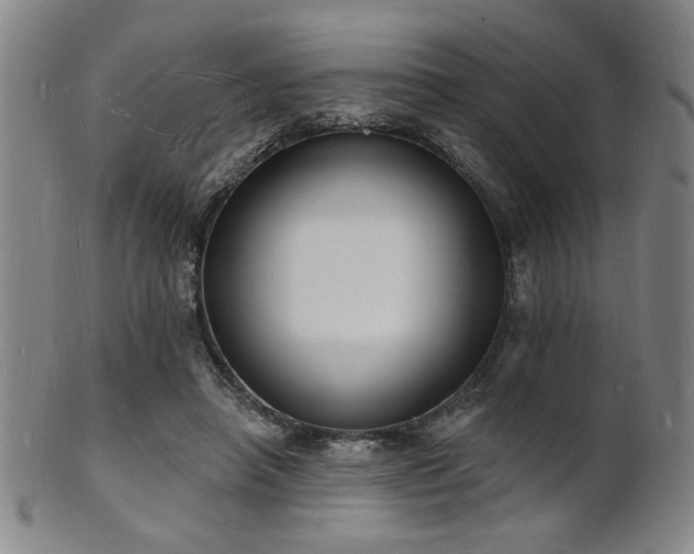 X0000101690450200807101517