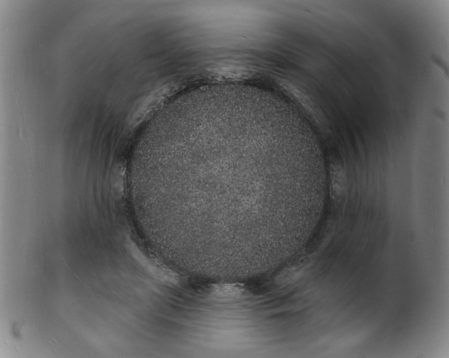 X0000101690451200807101517