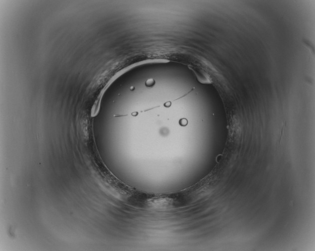 X0000101690452200807101517