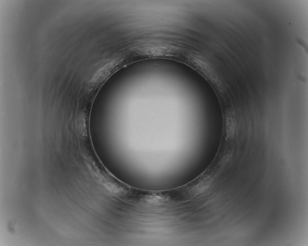 X0000101690453200807101517