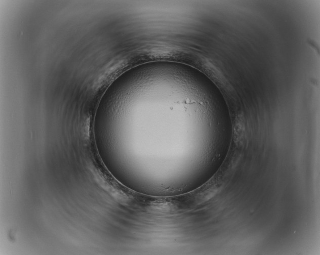 X0000101690454200807101517