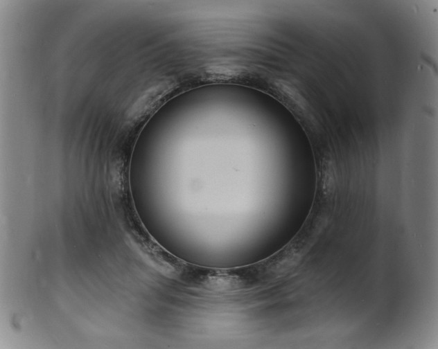 X0000101690455200807101517