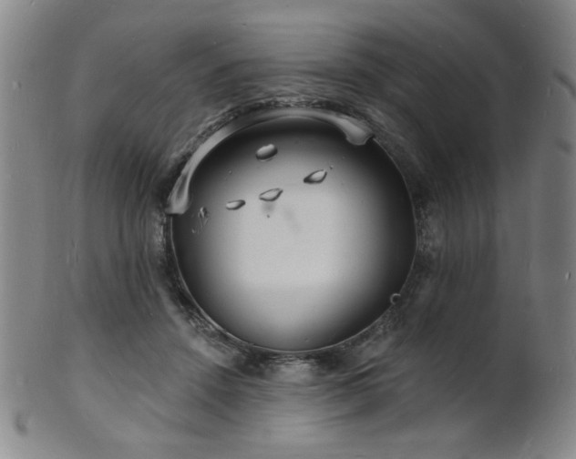 X0000101690456200807101517