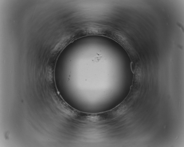 X0000101690457200807101517