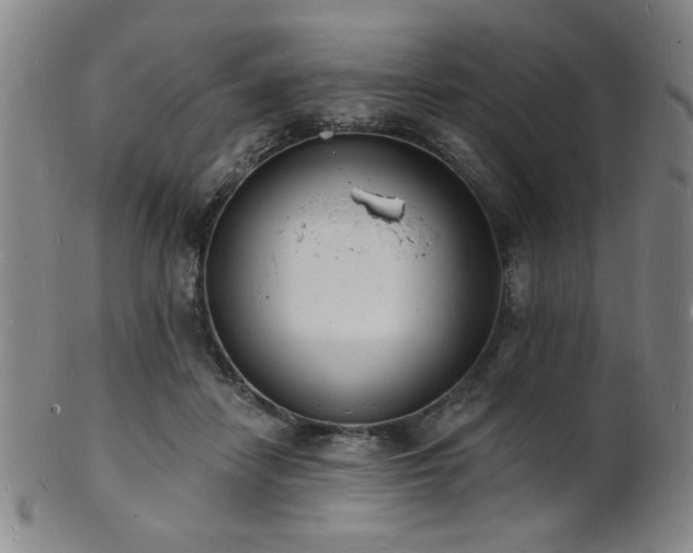 X0000101690458200807101517