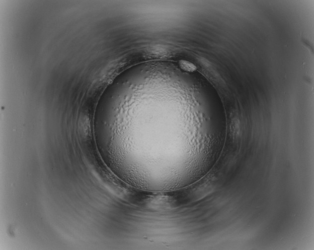 X0000101690459200807101517