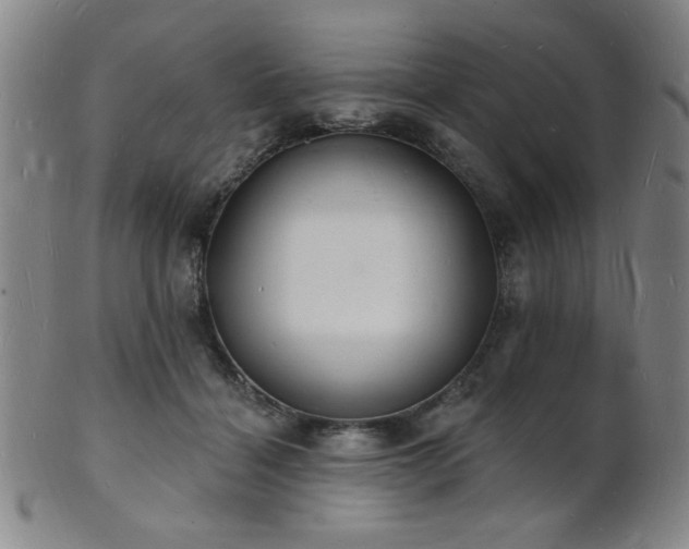 X0000101690460200807101517