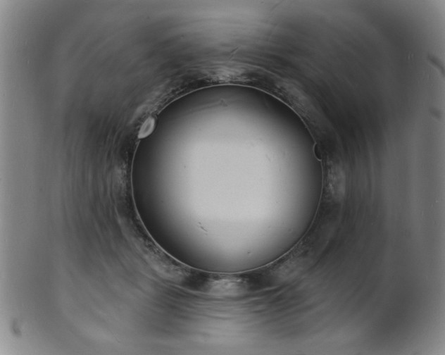 X0000101690461200807101517