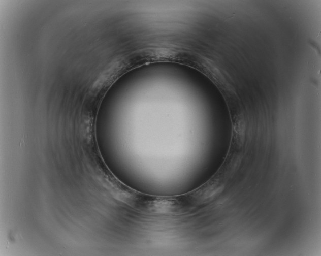 X0000101690462200807101517