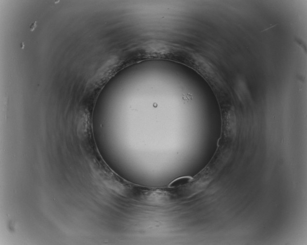 X0000101690463200807101517