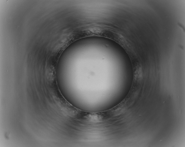 X0000101690464200807101517