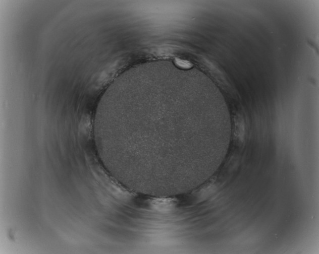 X0000101690465200807101517