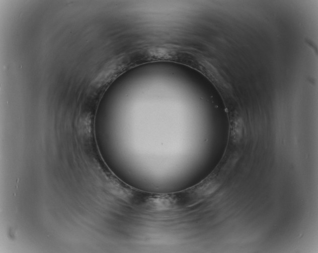 X0000101690466200807101517