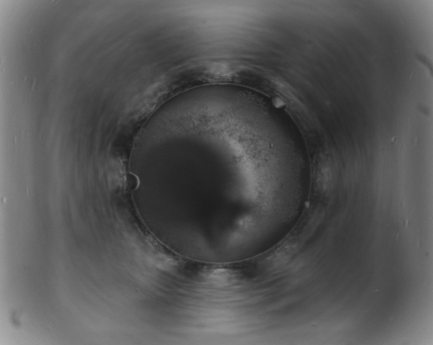 X0000101690467200807101517