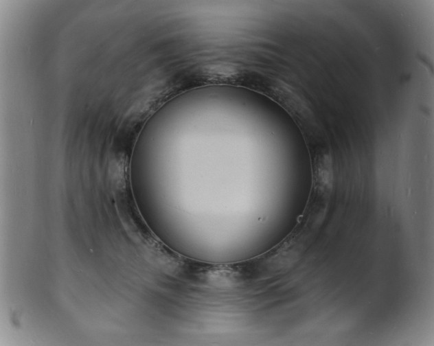 X0000101690468200807101517