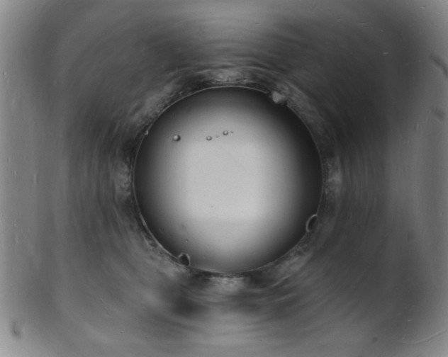 X0000101690469200807101517