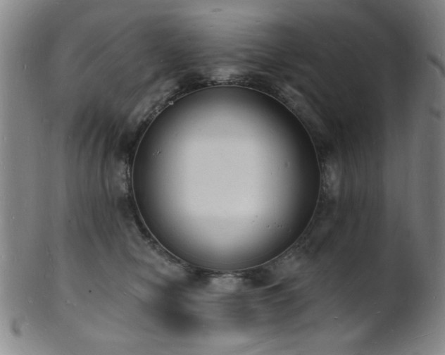 X0000101690470200807101517