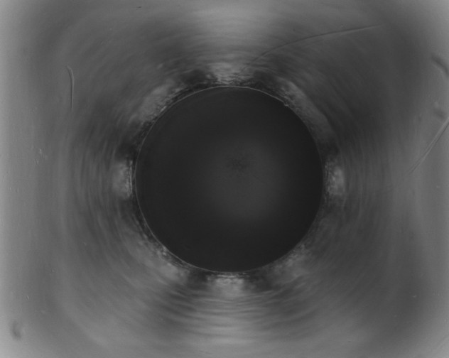 X0000101690471200807101517