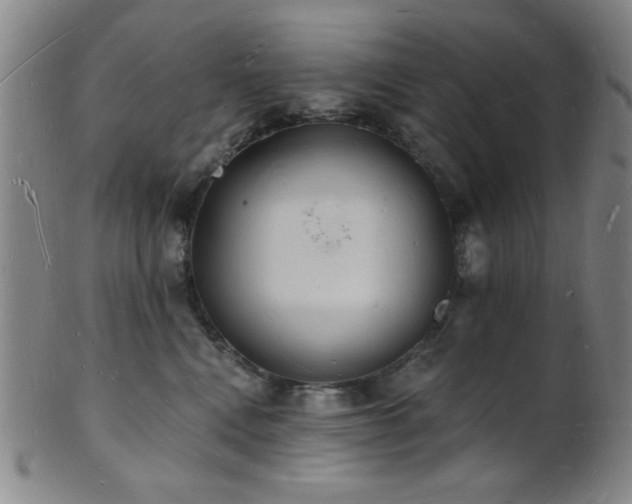 X0000101690472200807101517