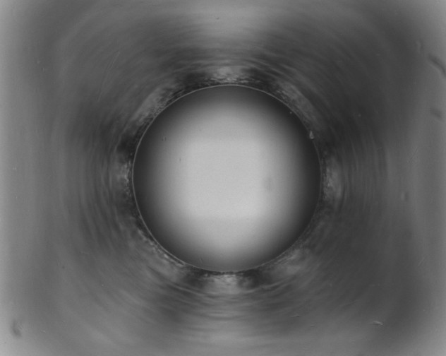 X0000101690473200807101517