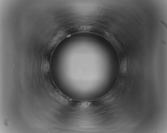 X0000101690474200807101517