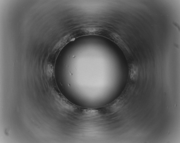 X0000101690476200807101517