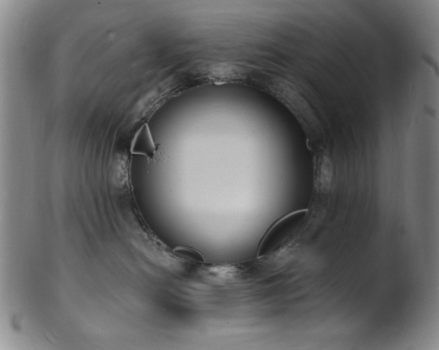 X0000101690478200807101517