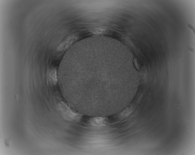 X0000101690479200807101517