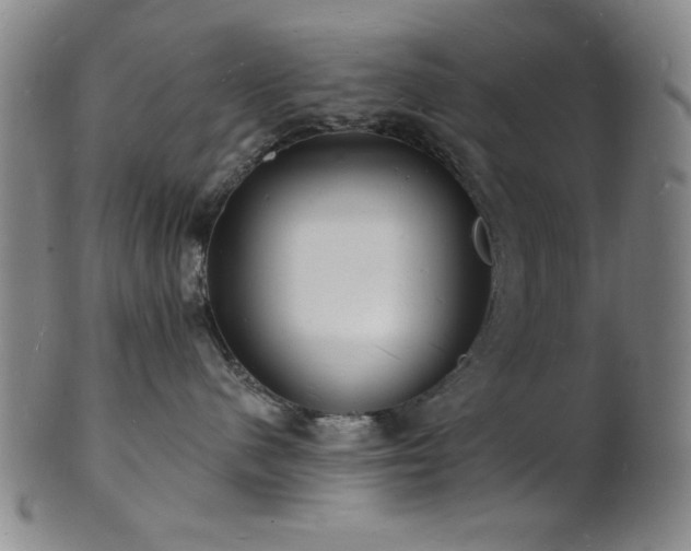 X0000101690480200807101517