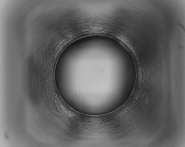 X0000101690481200807101516