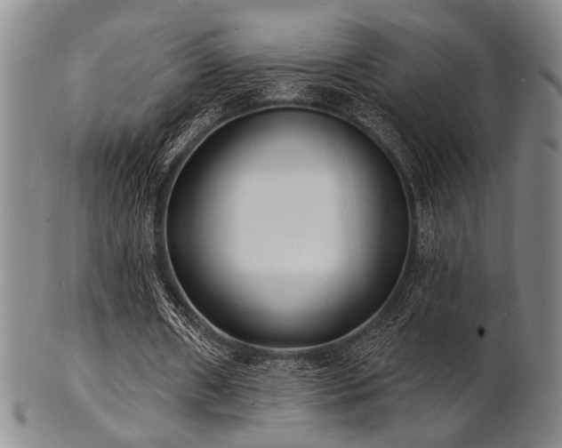 X0000101690482200807101516