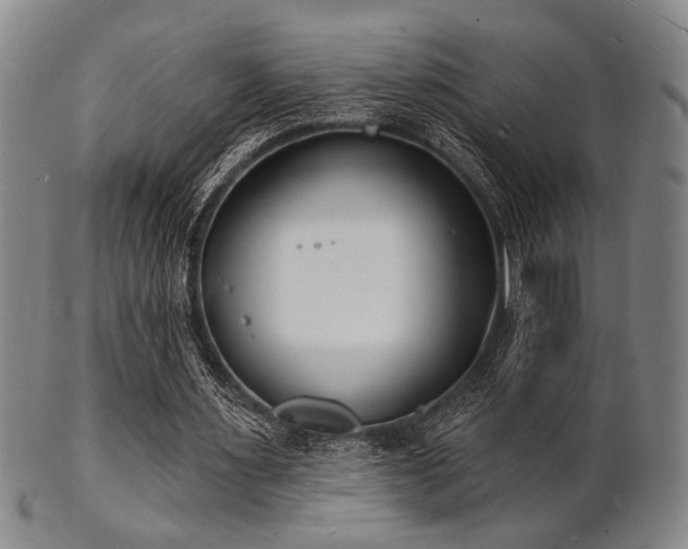 X0000101690483200807101516