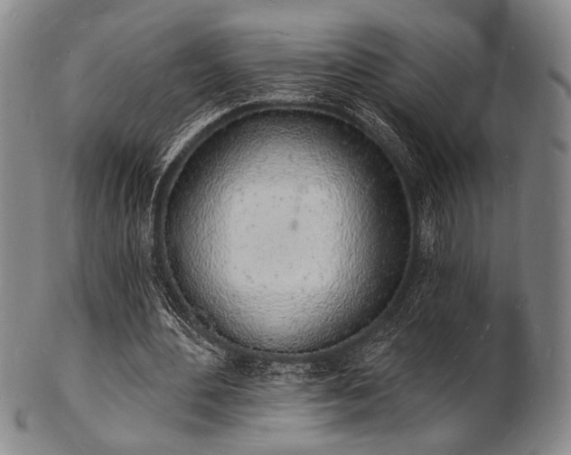 X0000101690484200807101516