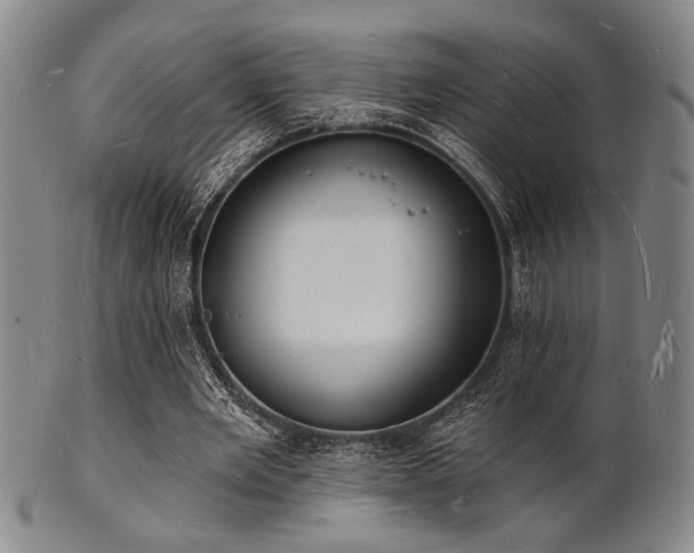 X0000101690485200807101516