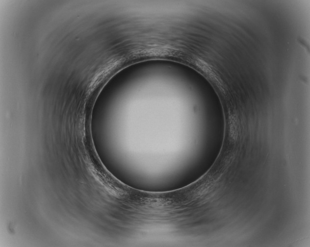 X0000101690486200807101516