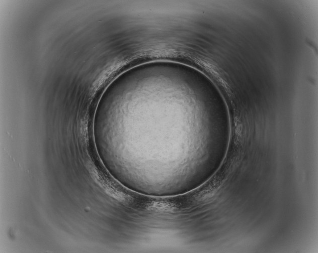 X0000101690487200807101516