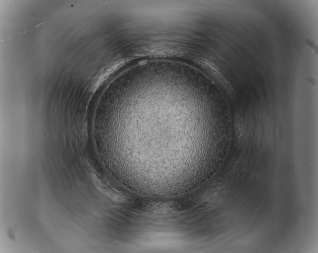 X0000101690488200807101516