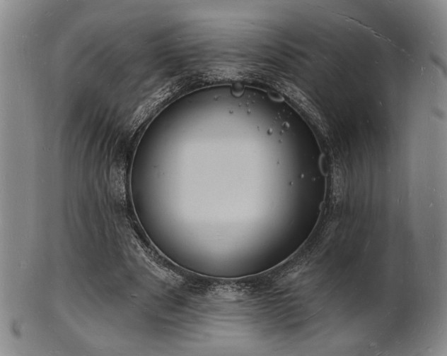 X0000101690489200807101516