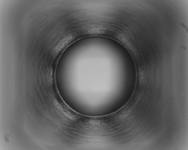 X0000101690490200807101516