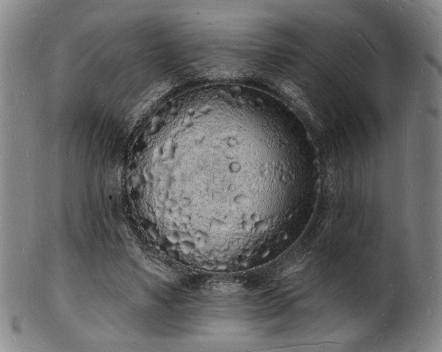 X0000101690491200807101516