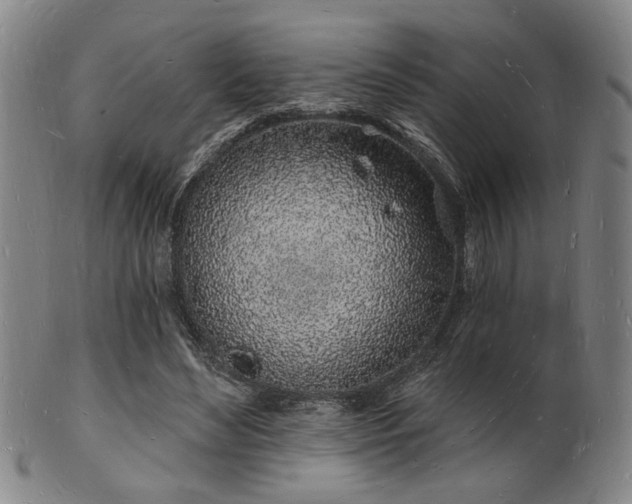 X0000101690492200807101516