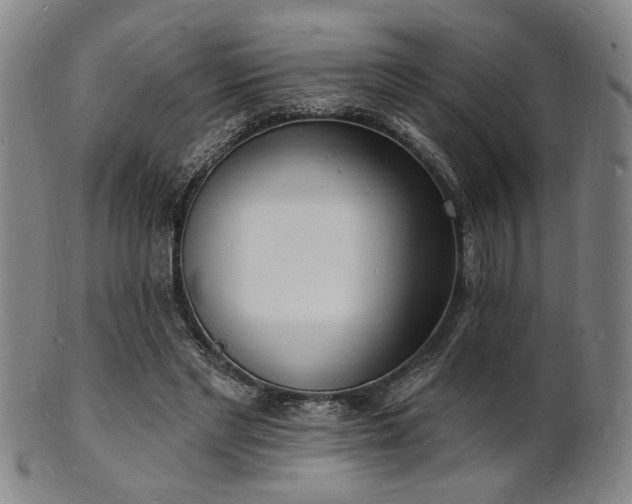 X0000101690493200807101516